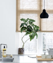 Load image into Gallery viewer, Brown plant roller blinds Color&amp; Co