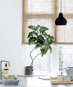 Brown plant roller blinds Color& Co